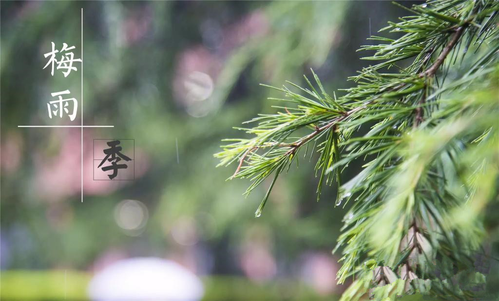 雨季到來，涂料施工需注意哪些問題